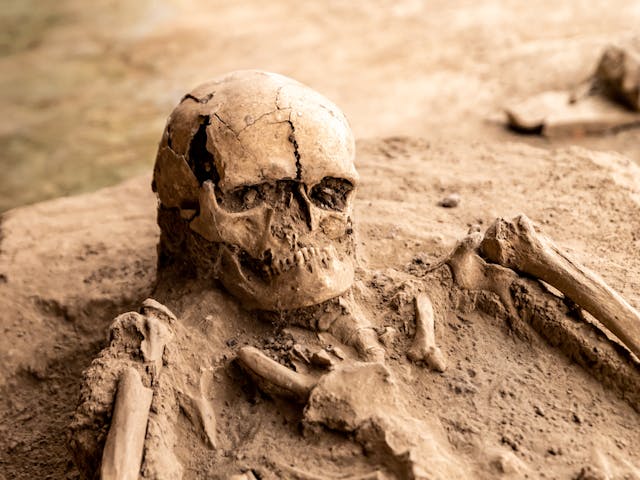 Papel de la radiología en la evaluación de esqueletos de yacimientos arqueológicos.