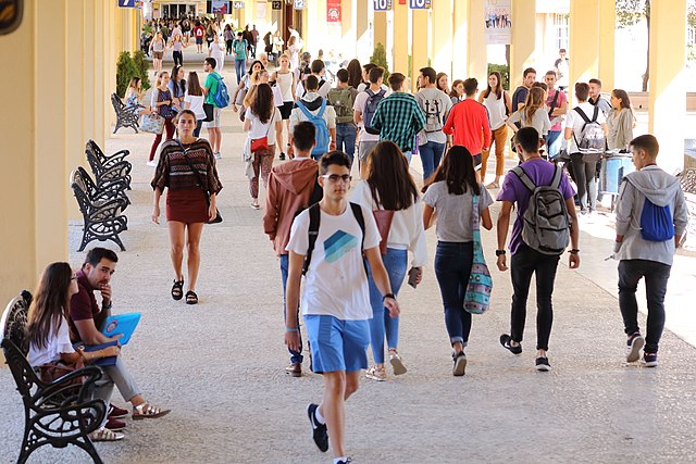 Dos anys d’FP + dos d’universitat, l’associació d’exrectors proposa una nova modalitat de grau.