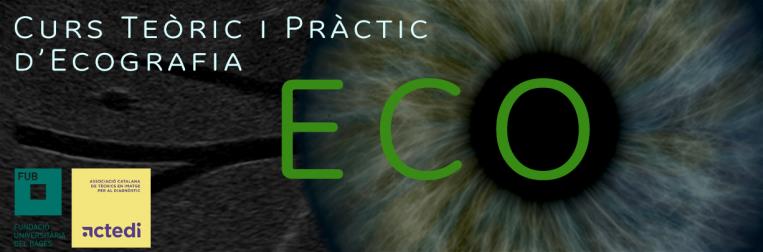 2019 - Curs teòric i Pràctic d'Ecografia. II Edició. COMPLET